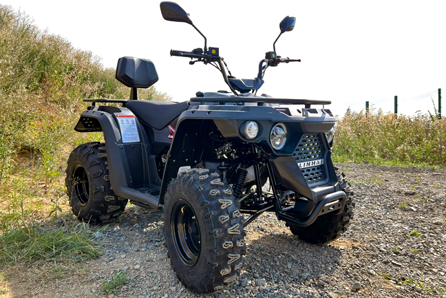 linhai-m210-efi-03.png